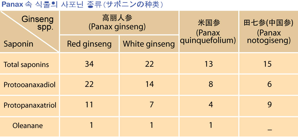 Gingseng-spp