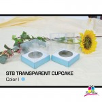 STB-TRANSPARENT-CUPCAKE